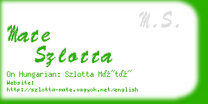 mate szlotta business card